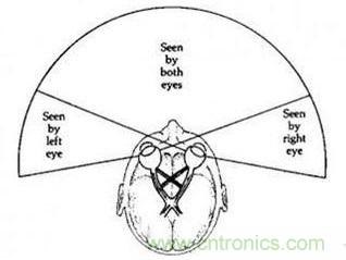 雙目重疊技術(shù)在VR中有什么作用？