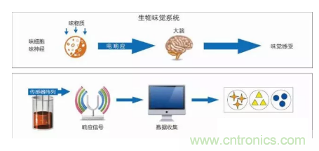 仿生傳感器的定義、原理、分類(lèi)及應(yīng)用