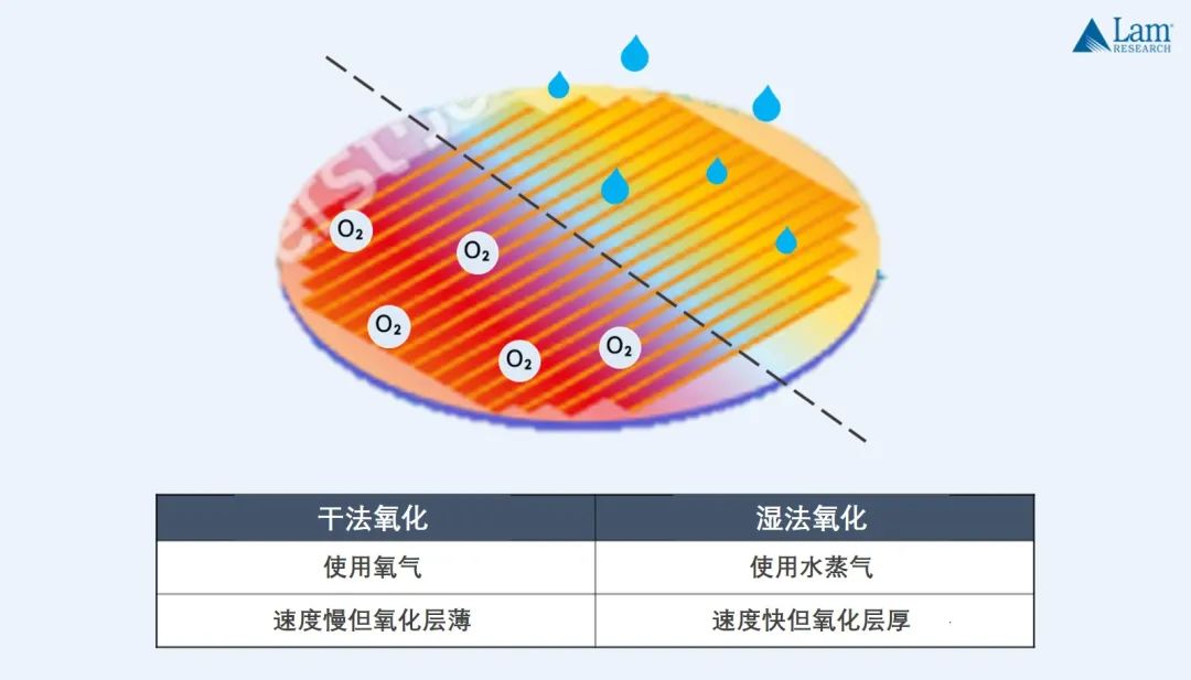 揭秘半導體制造全流程（上篇）